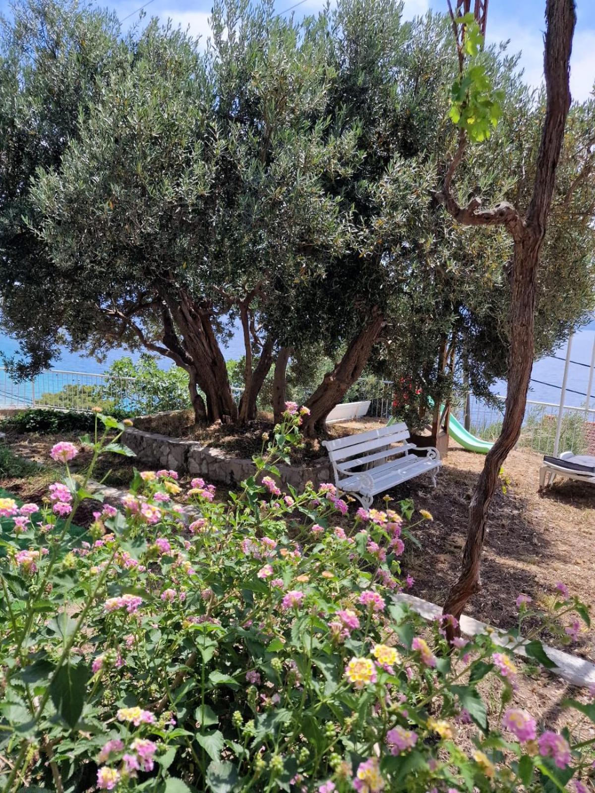 Apartment Panorama - Amazing Sea View, Newly Renovated Dugi Rat Exterior foto